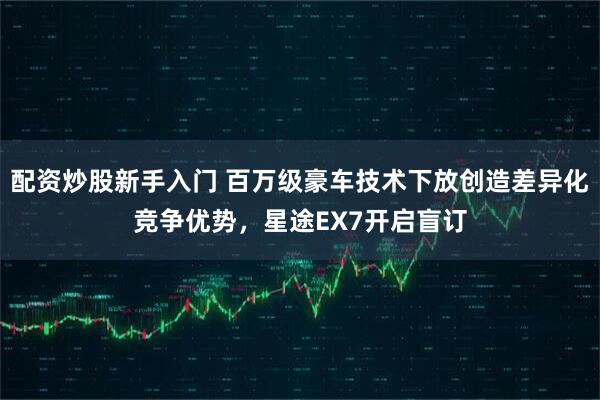 配资炒股新手入门 百万级豪车技术下放创造差异化竞争优势,星途EX7开启盲订