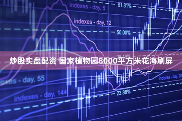 炒股实盘配资 国家植物园8000平方米花海刷屏